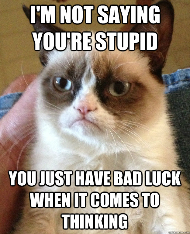 I'm not saying you're stupid you just have bad luck when it comes to thinking  Grumpy Cat