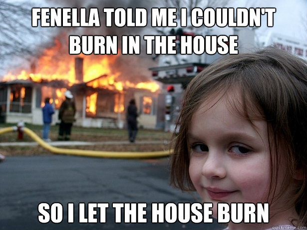 Fenella told me I couldn't burn in the house So i let the house burn   Disaster Girl