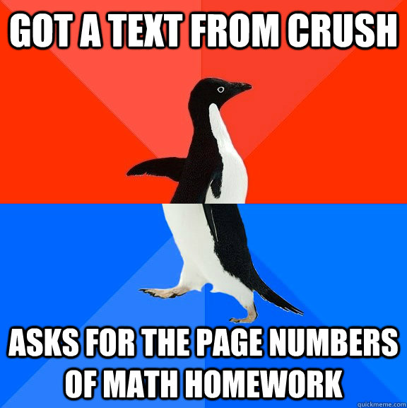 Got a text from crush Asks for the page numbers of math homework  Socially Awesome Awkward Penguin
