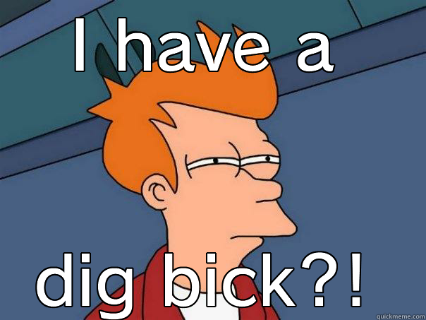 Dig bick? - I HAVE A DIG BICK?! Futurama Fry