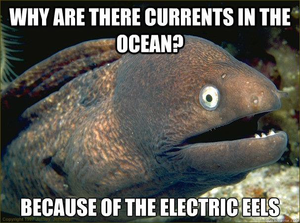 Why are there currents in the ocean? Because of the electric eels - Why are there currents in the ocean? Because of the electric eels  Bad Joke Eel