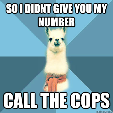 So i didnt give you my number Call the cops - So i didnt give you my number Call the cops  Linguist Llama
