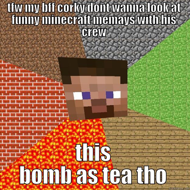 TFW MY BFF CORKY DONT WANNA LOOK AT FUNNY MINECRAFT MEMAYS WITH HIS CREW THIS BOMB AS TEA THO Minecraft