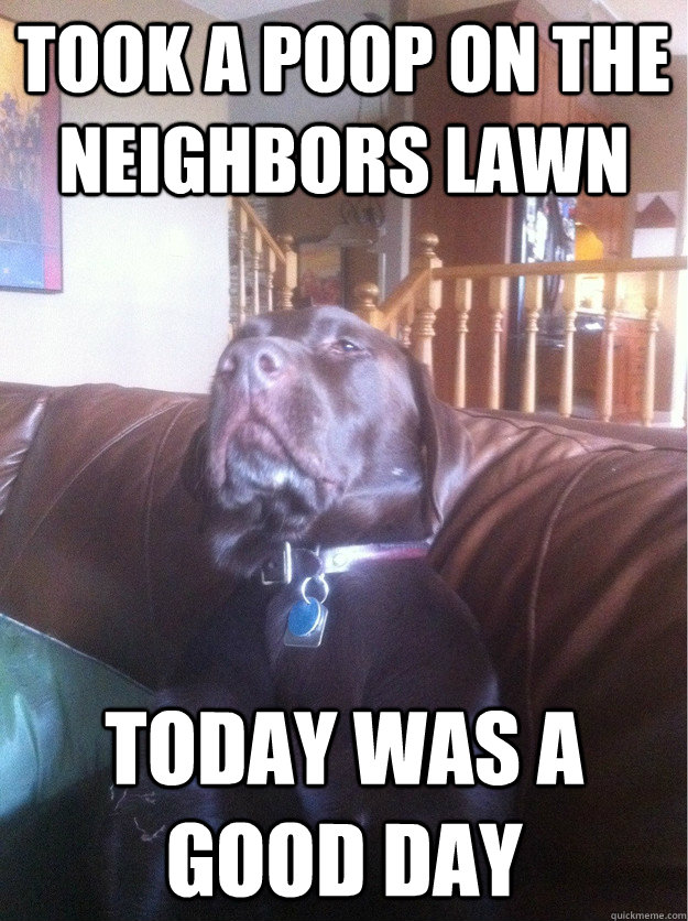 took a poop on the neighbors lawn Today was a good day - took a poop on the neighbors lawn Today was a good day  Misc
