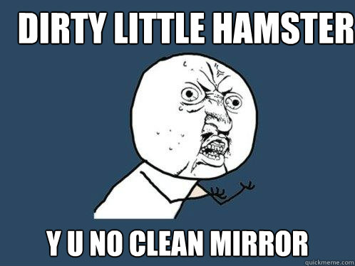 Dirty Little Hamster y u no clean mirror  - Dirty Little Hamster y u no clean mirror   Y U No