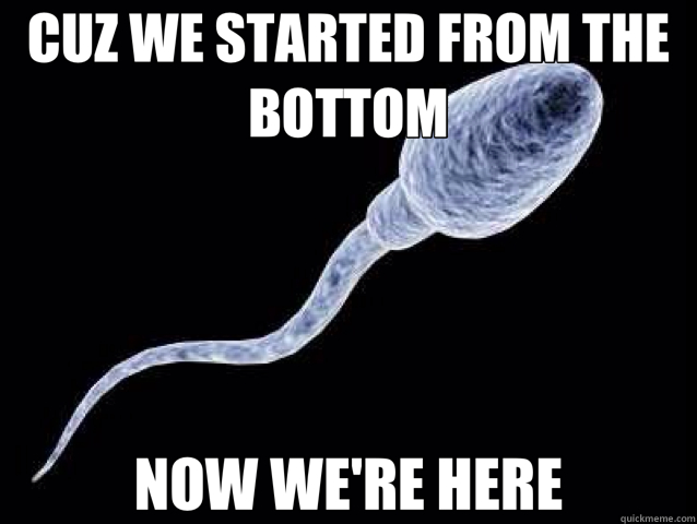 CUZ WE STARTED FROM THE BOTTOM NOW WE'RE HERE  sperm