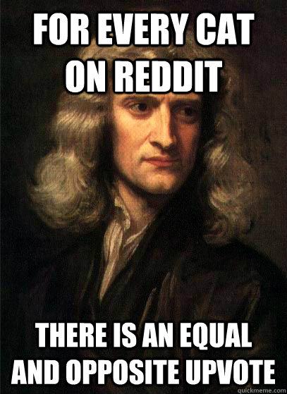 For every cat on reddit there is an equal and opposite upvote - For every cat on reddit there is an equal and opposite upvote  Sir Isaac Newton