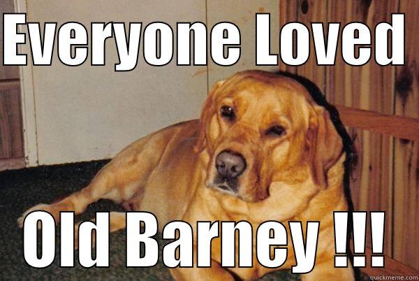 EVERYONE LOVED  OLD BARNEY !!! Misc