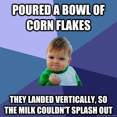 poured a bowl of corn flakes they landed vertically, so the milk couldn't splash out  Success Kid