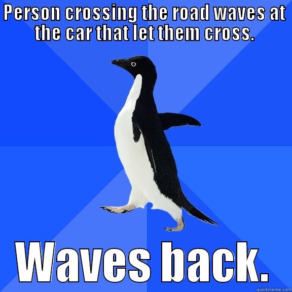 PERSON CROSSING THE ROAD WAVES AT THE CAR THAT LET THEM CROSS. WAVES BACK. Socially Awkward Penguin