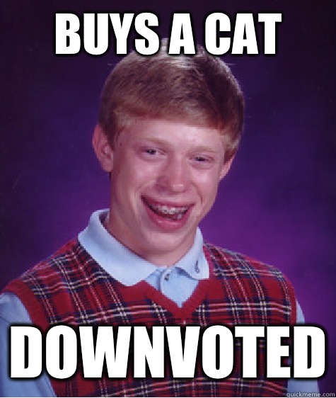 Buys a cat Downvoted  Bad Luck Brian