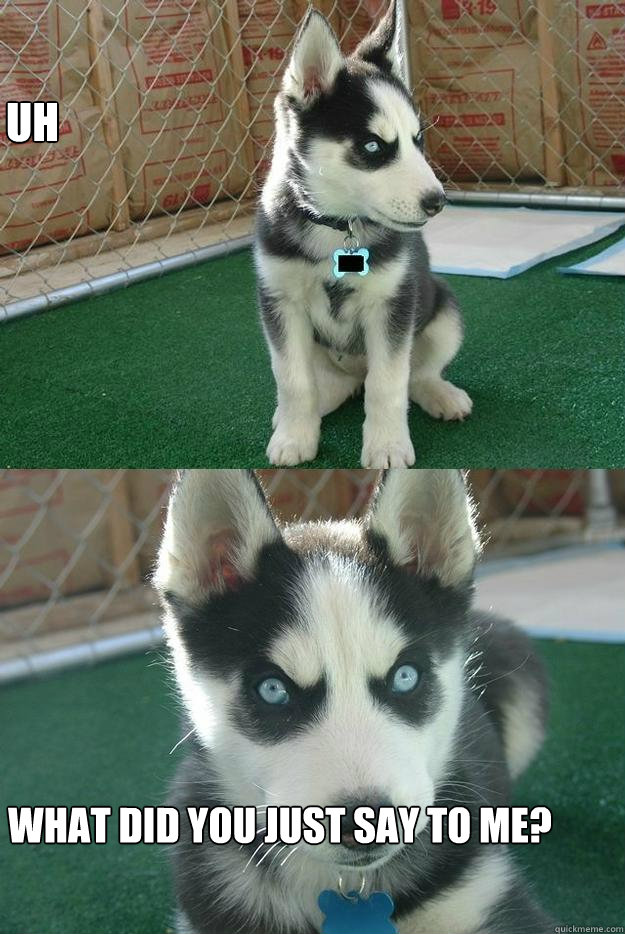 uh What did you just say to me?  Insanity puppy