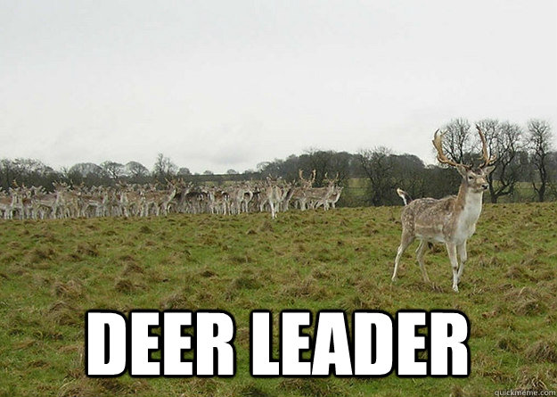deer leader   