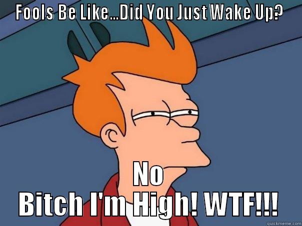 FOOLS BE LIKE...DID YOU JUST WAKE UP? NO BITCH I'M HIGH! WTF!!! Futurama Fry