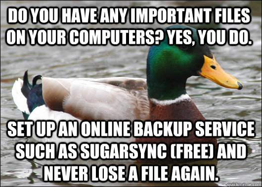 do you have any important files on your computers? Yes, You do. set up an online backup service such as sugarsync (Free) and never lose a file again.  Actual Advice Mallard