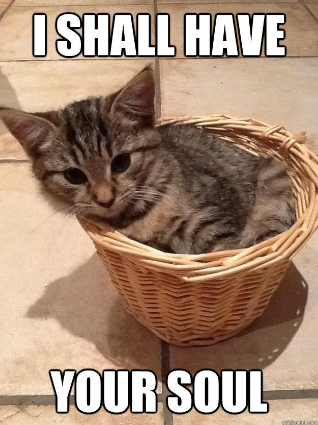 I Shall have Your Soul - I Shall have Your Soul  Devil Kitten