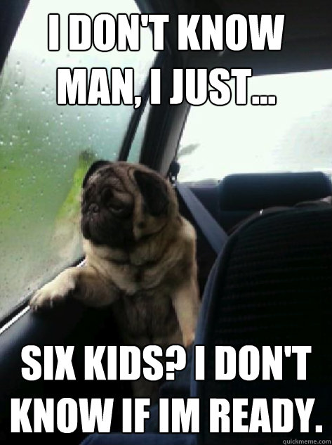 I don't know man, I just... six kids? i don't know if im ready.  Introspective Pug