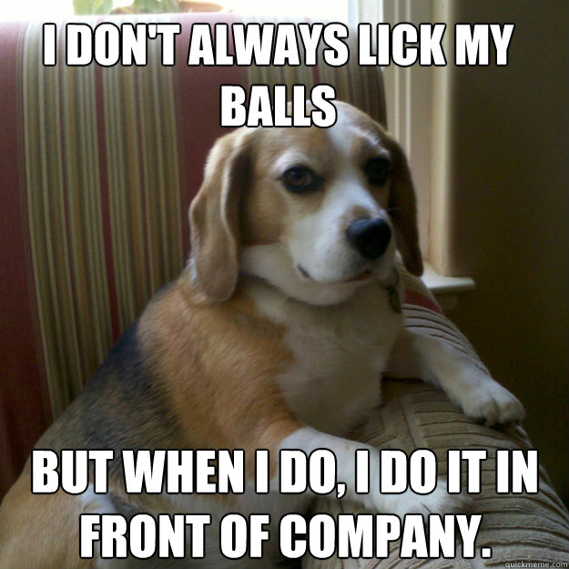 I don't always lick my balls but when i do, i do it in front of company.  judgmental dog