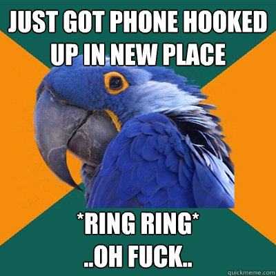 Just got phone hooked up in new place *ring ring* 
..oh fuck..  Paranoid Parrot
