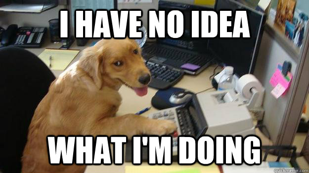 I have no idea what i'm doing - I have no idea what i'm doing  Accountant Dog