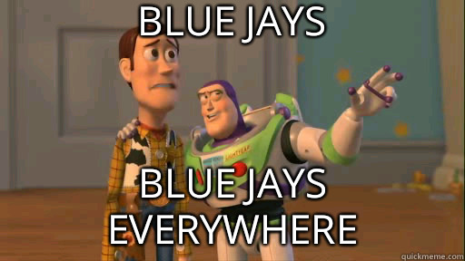 Blue Jays Blue Jays everywhere  Everywhere