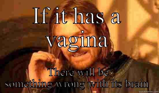 IF IT HAS A VAGINA THERE WILL BE SOMETHING WRONG WITH ITS BRAIN  Boromir