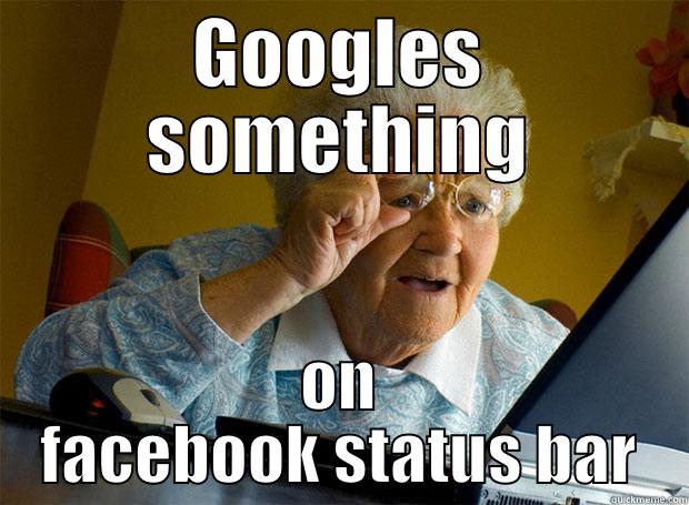 grandma greeley - GOOGLES SOMETHING ON FACEBOOK STATUS BAR Grandma finds the Internet
