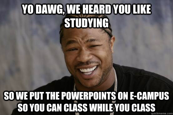 YO DAWG, WE HEARD YOU LIKE STUDYING SO WE PUT THE POWERPOINTS ON E-CAMPUS SO YOU CAN CLASS WHILE YOU CLASS  YO DAWG