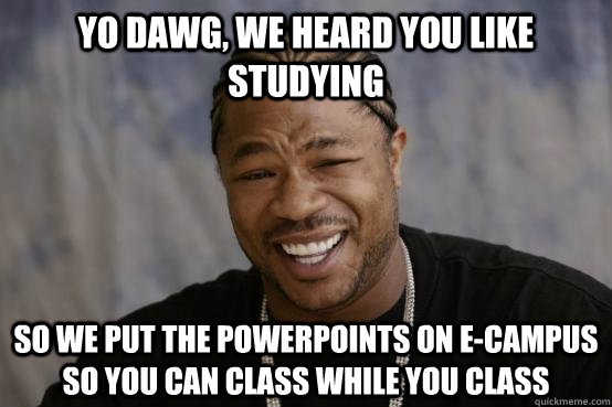 YO DAWG, WE HEARD YOU LIKE STUDYING SO WE PUT THE POWERPOINTS ON E-CAMPUS SO YOU CAN CLASS WHILE YOU CLASS  YO DAWG