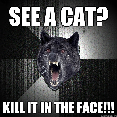 SEE A CAT? kILL IT IN THE FACE!!!  Insanity Wolf