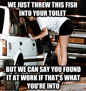 We just threw this fish into your toilet But we can say you found it at work if that's what you're into  Karma Whore