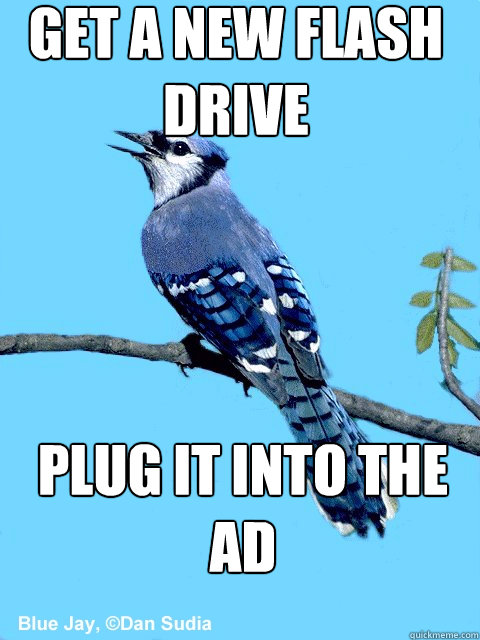 get a new flash drive plug it into the ad  Blue Team Bird