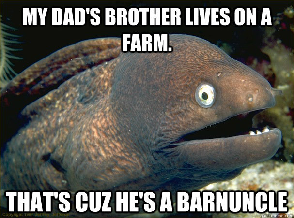 My dad's brother lives on a farm. That's cuz he's a BarnUncle  Bad Joke Eel