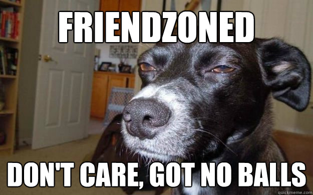 friendzoned don't care, got no balls - friendzoned don't care, got no balls  Skeptical Mutt