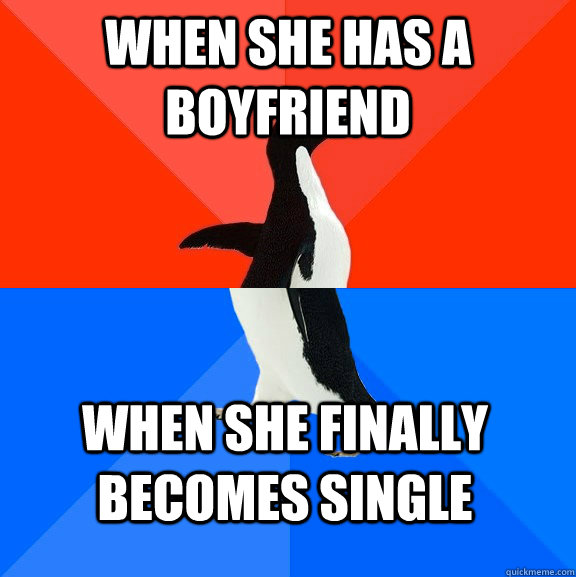When she has a boyfriend when she finally becomes single  Socially Awesome Awkward Penguin