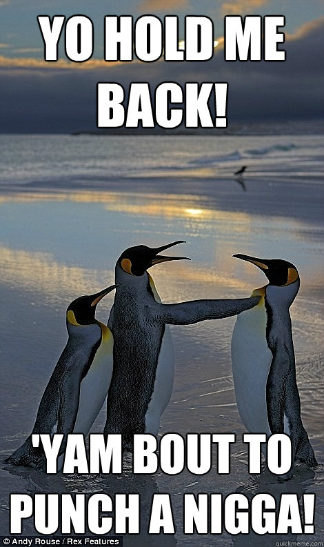 Yo Hold me back! 'yam bout to punch a nigga!  Fighting penguins