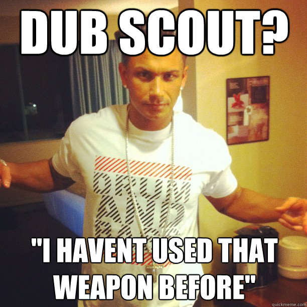 DUB SCOUT? 