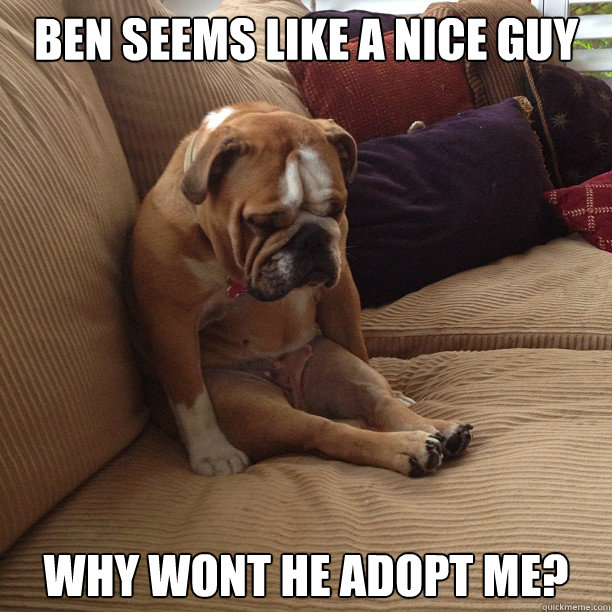 BEN SEEMS LIKE A NICE GUY WHY WONT HE ADOPT ME? - BEN SEEMS LIKE A NICE GUY WHY WONT HE ADOPT ME?  depressed dog