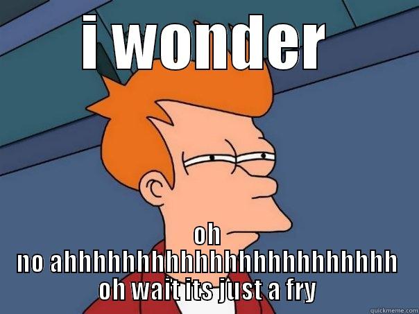 I WONDER OH NO AHHHHHHHHHHHHHHHHHHHHHHH OH WAIT ITS JUST A FRY Futurama Fry