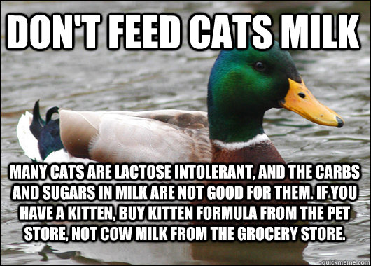 don't feed cats milk many cats are lactose intolerant, and the carbs and sugars in milk are not good for them. if you have a kitten, buy kitten formula from the pet store, not cow milk from the grocery store.  Actual Advice Mallard