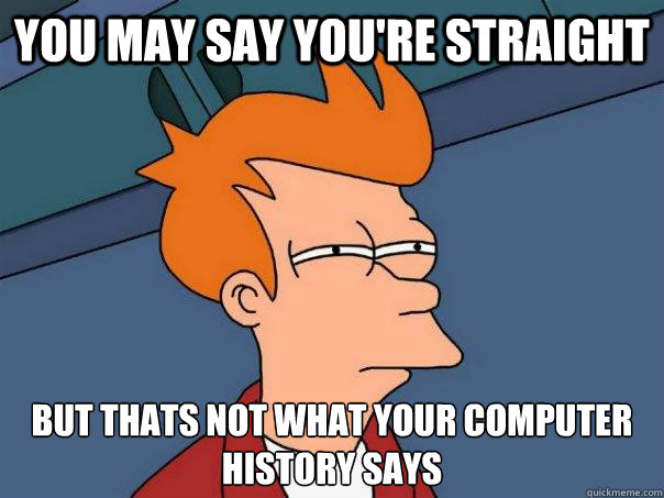 You may say You're Straight But thats not what your computer history says  Futurama Fry
