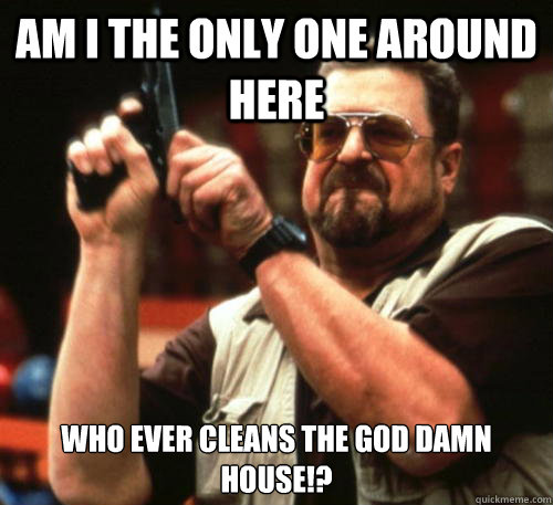 Am i the only one around here Who ever cleans the god damn House!?  Am I The Only One Around Here