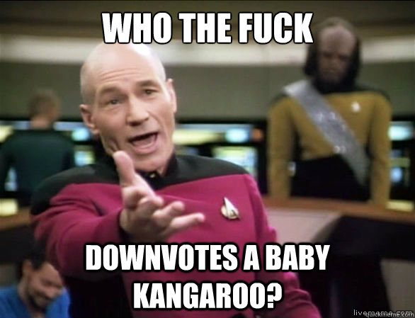 who the fuck downvotes a baby kangaroo?  Annoyed Picard HD
