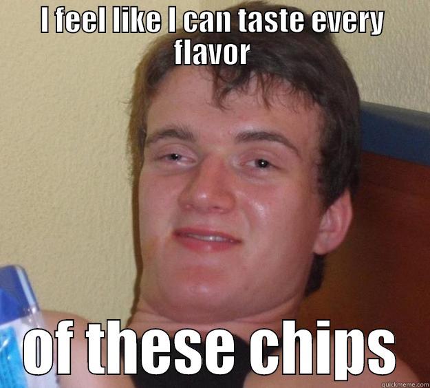 I FEEL LIKE I CAN TASTE EVERY FLAVOR OF THESE CHIPS 10 Guy