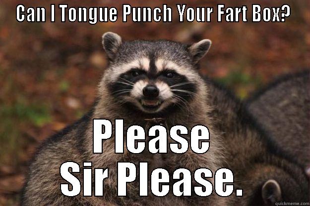 CAN I TONGUE PUNCH YOUR FART BOX? PLEASE SIR PLEASE. Evil Plotting Raccoon