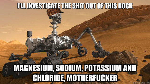 I'll investigate the shit out of this rock magnesium, sodium, potassium and chloride, motherfucker  Scumbag Mars Rover