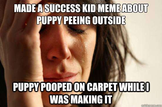 made a success kid meme about puppy peeing outside puppy pooped on carpet while i was making it - made a success kid meme about puppy peeing outside puppy pooped on carpet while i was making it  First World Problems