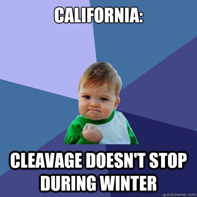 California: cleavage doesn't stop during winter  Success Kid