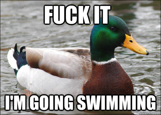 Fuck it  i'm going swimming   Actual Advice Mallard