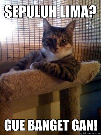 SEPULUH LIMA? GUE BANGET GAN!  The Most Interesting Cat in the World